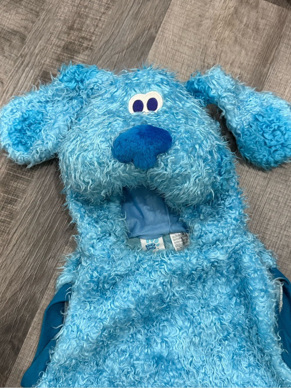Y2K Blues Clues Viacom Halloween costume 4-6